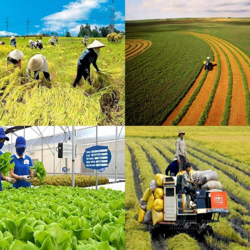 agriculture